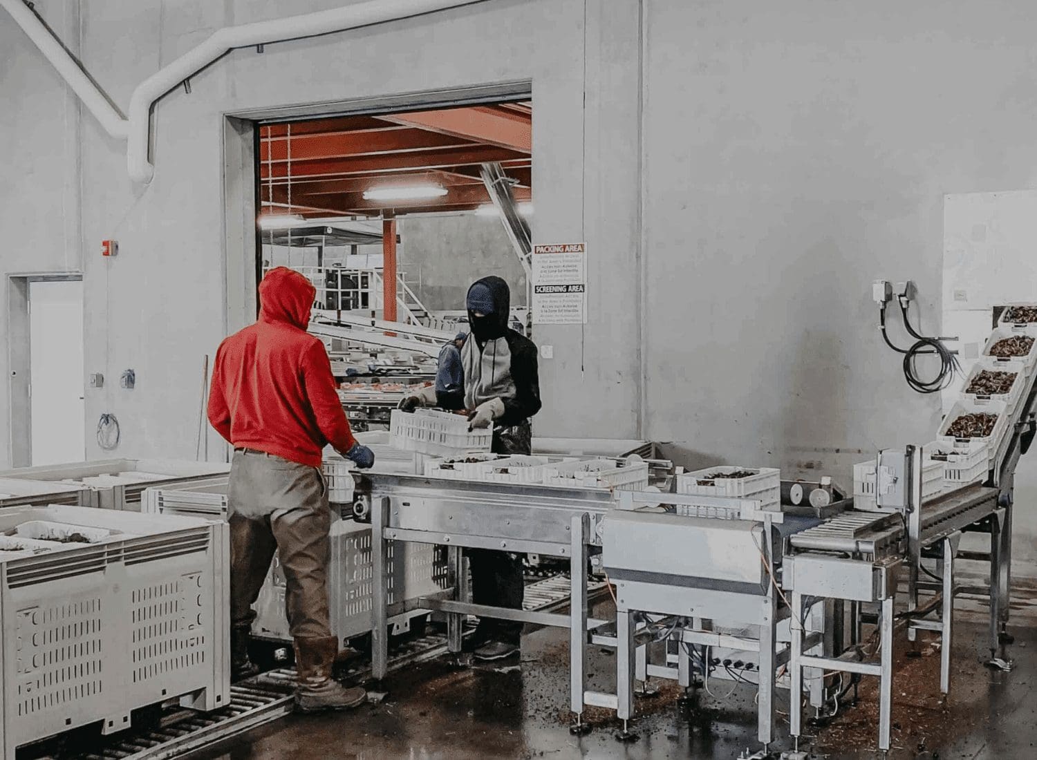 employees using custom conveyor machining